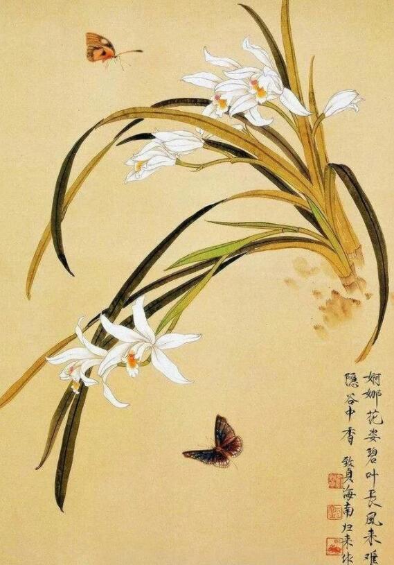 百花齐放各争春惟有兰花香正好国画兰花作品欣赏