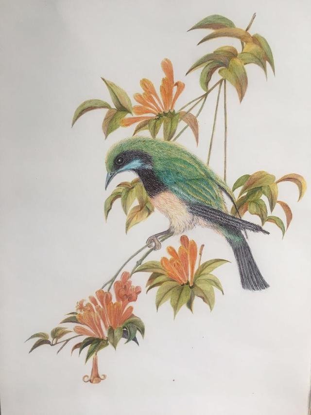 幸福原创画吧五月第三周作品分享