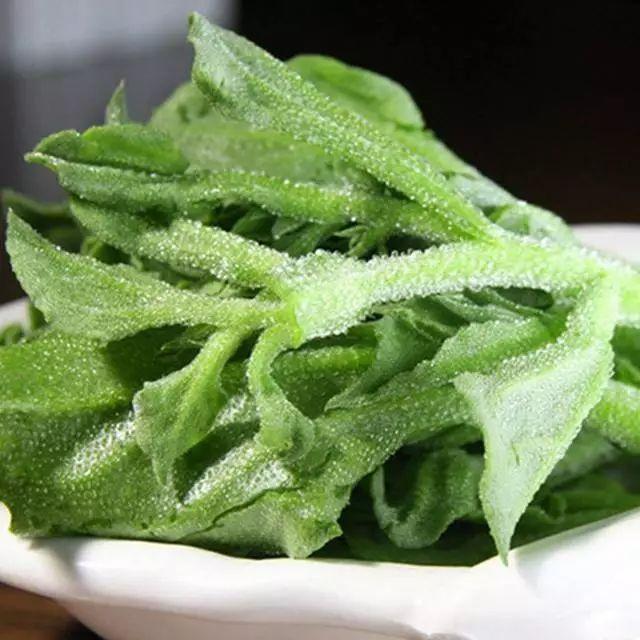 阳台蔬菜冰菜也可以尝试超详细技术分享