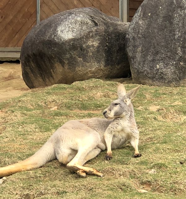 周末出发南安清境桃源网红项目晋江五店市重点文物草庵寺特价超值1日