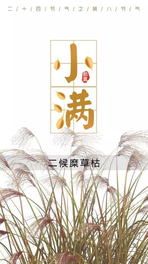 夏季的第二个节气小满