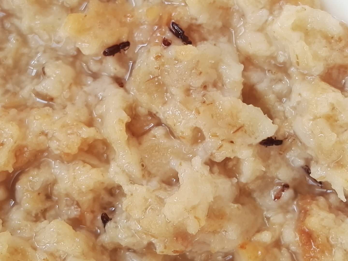 杨女士称,发现冲泡的麦片内出现了黑色虫子后,她马上查看包装袋内余