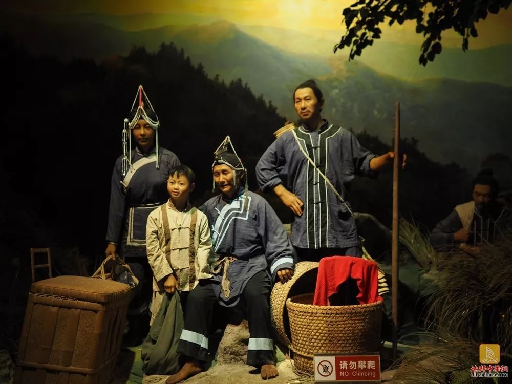 海外华文媒体走进景宁中国畲族博物馆