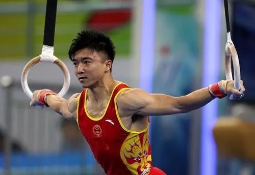 冠军:刘洋(中国)  亚军:leon yoseop(韩国)  季军:榶原拓弥(日本)