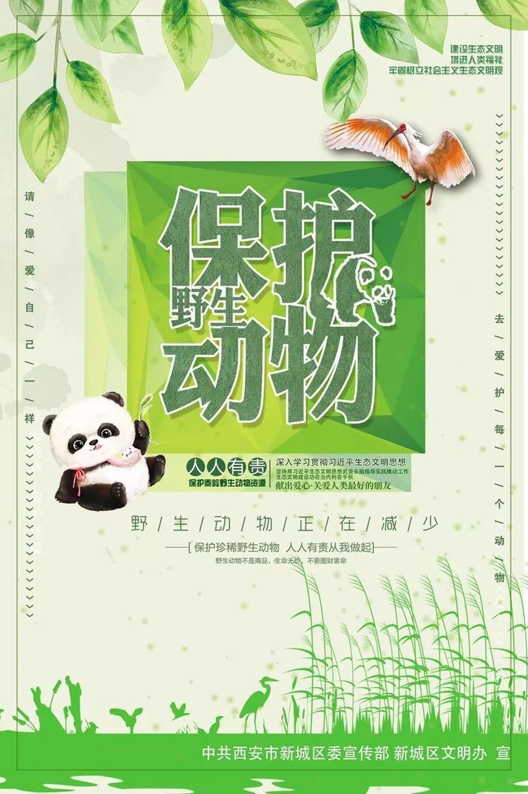 野生动物资源违法犯罪专项行动"主题公益广告通稿规范深化主题宣传