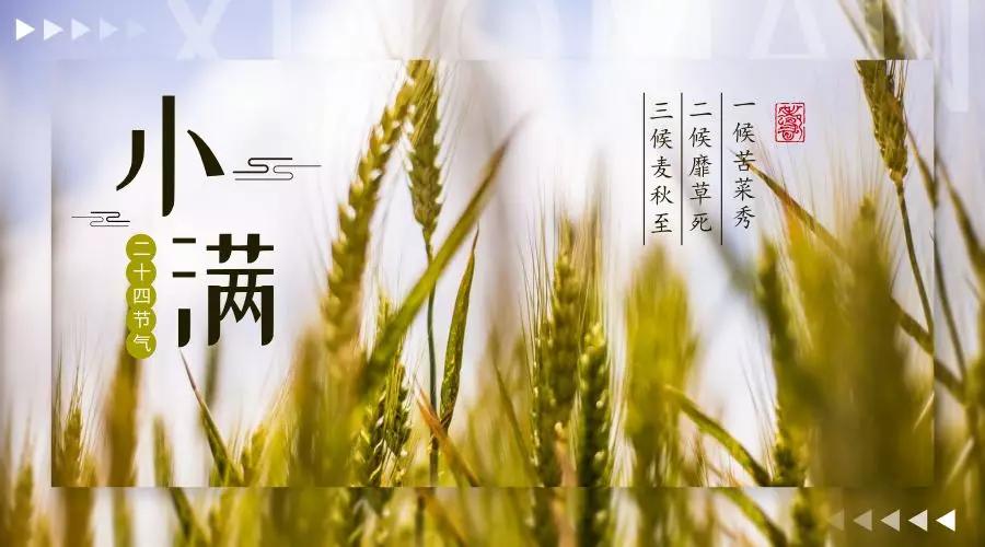 今日小满!和这个节气有关的诗歌也太美了吧.快讲给孩子!| 特别关注