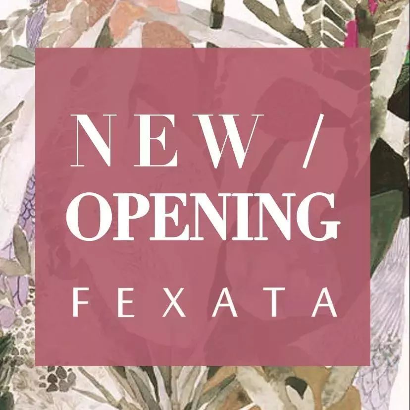 comingsoonfexata强势进驻河南安阳