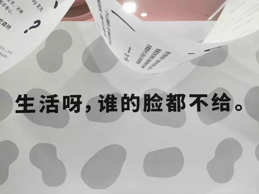 生活呀 谁的脸都不要给第三站:15李诞的抽脸卫生间一打开电脑屏幕