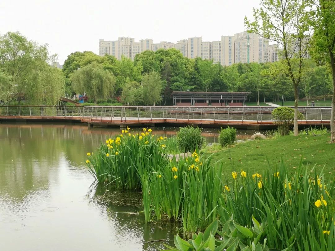 大美龙池我们的家