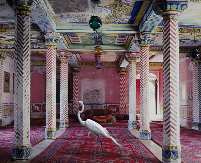 karenknorr動物們的印度之歌