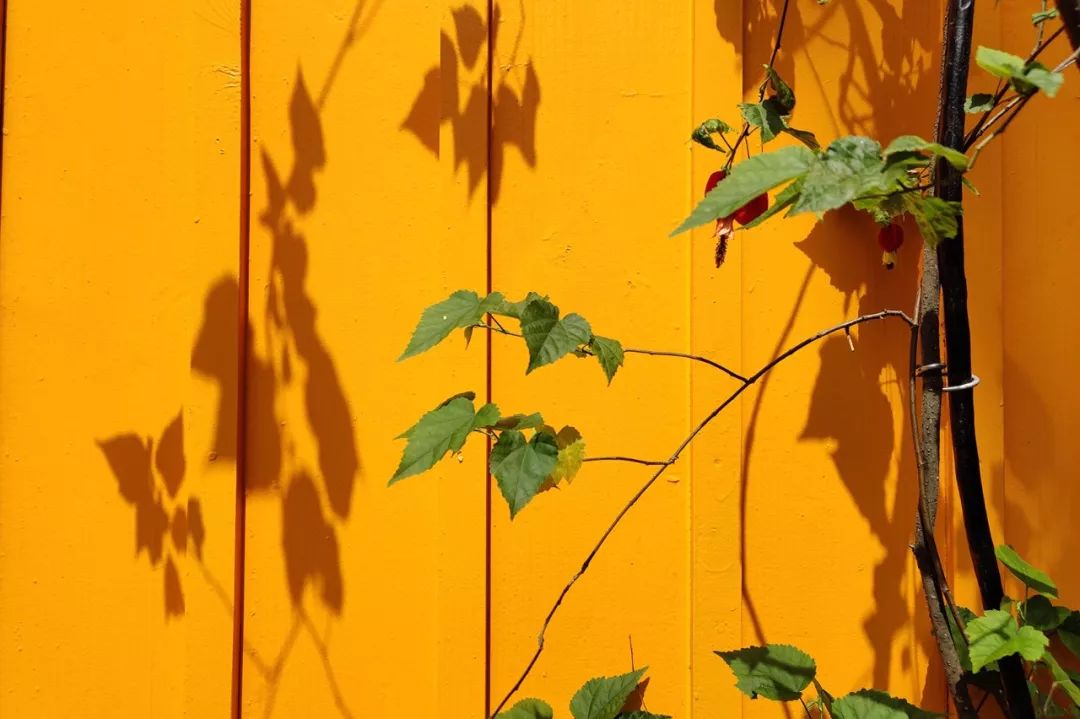 这才是我想给你们看的一加7 pro东京壁纸集!