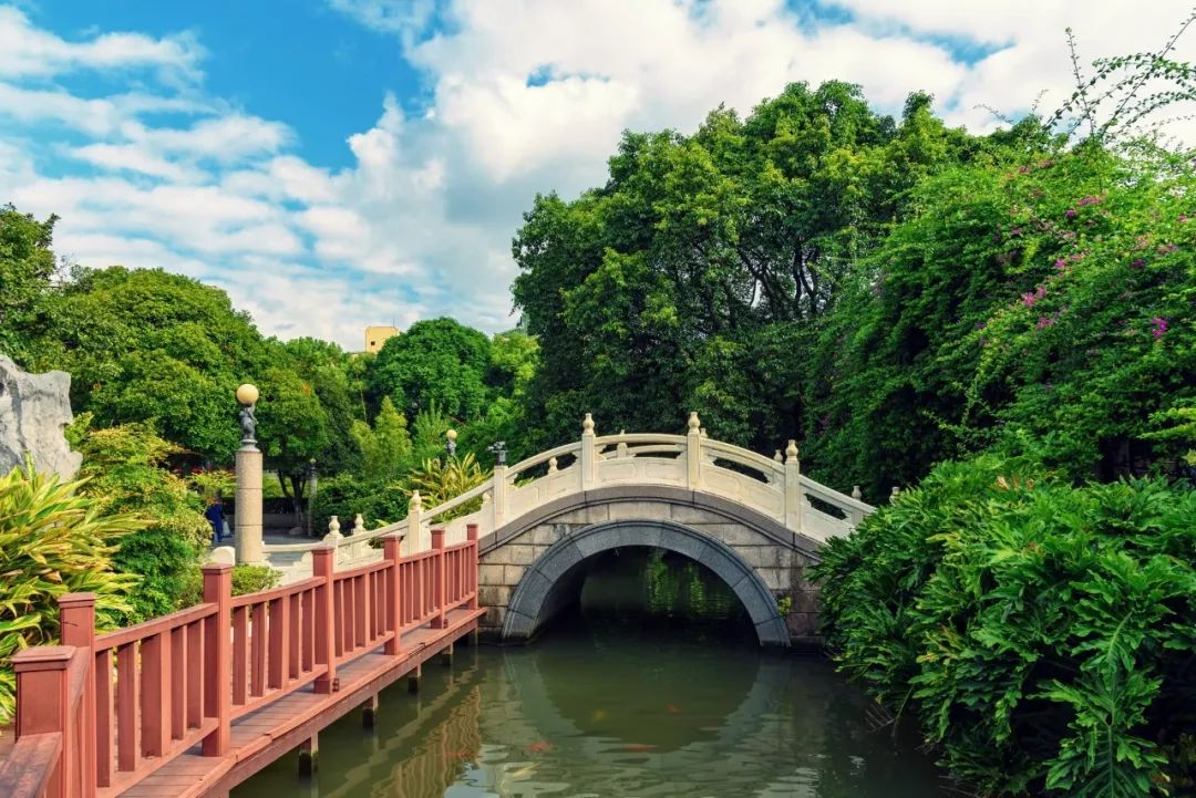 拱桥丨风动时留韵,水静时成圆