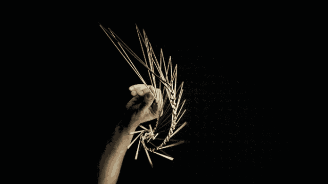 640_360gif 动态图 动图