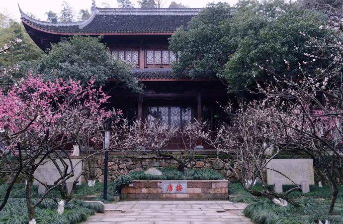 2019杭州网红打卡圣地21个热门景点足够你玩上一整年