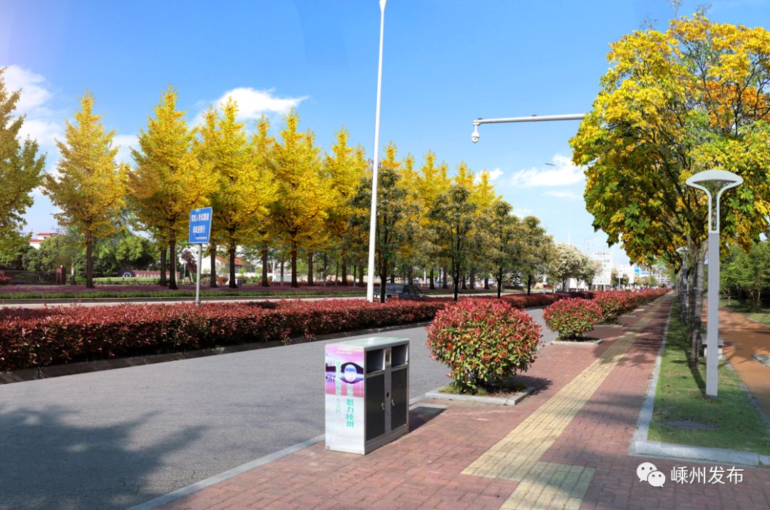 玉兰大道樱花大道月季大道嵊州打造14条绝美绿化景观道