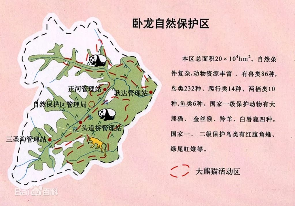 卧龙自然保护区内的熊猫基地这里因大熊猫为名扬海外说到大熊猫就不得