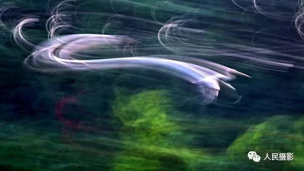 其实,"烟轨"是采用"超慢门"追随拍摄加上快速"摇摄",使飞鸟的身影在
