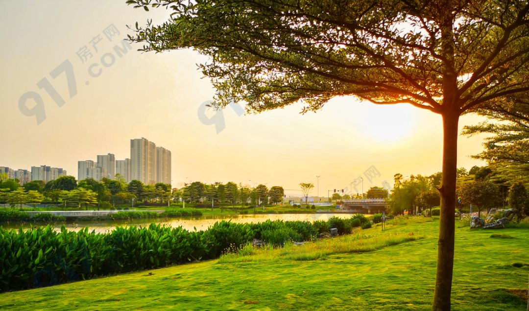 角美溼地公園落日美景不過,即將出讓的兩幅地塊前面的河流目前正處於