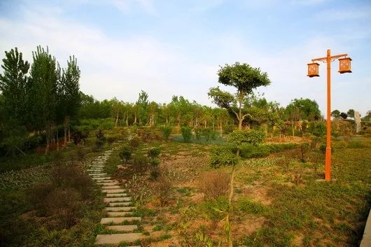 长垣我爱你请收下我的情书