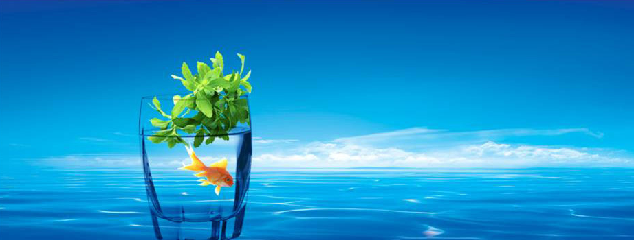 住博士带你认识不一样的生命活水