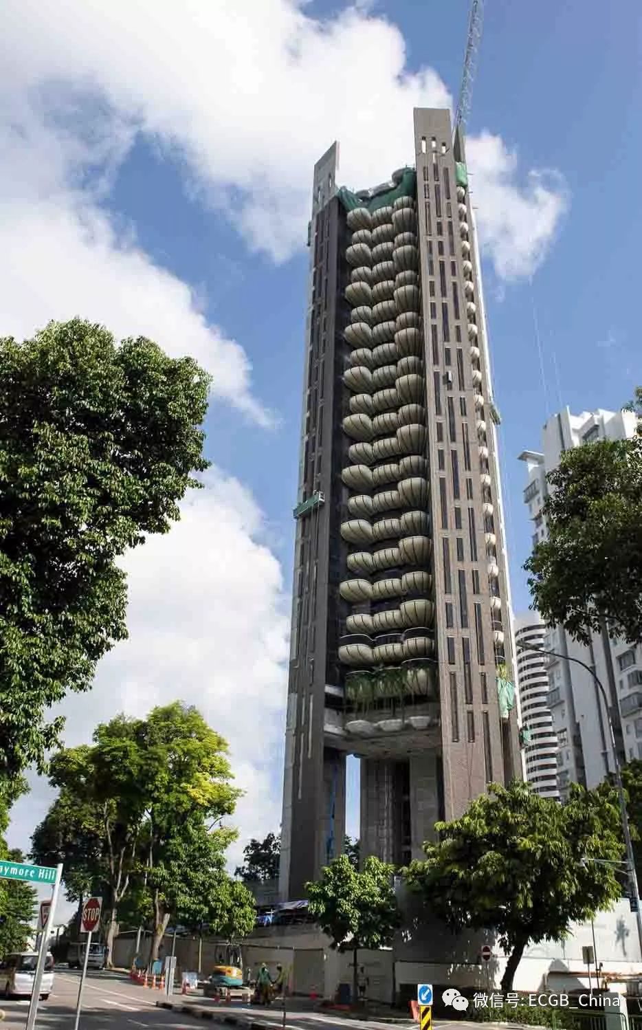 新加坡空中花园塔:郁郁葱葱的城市脊椎