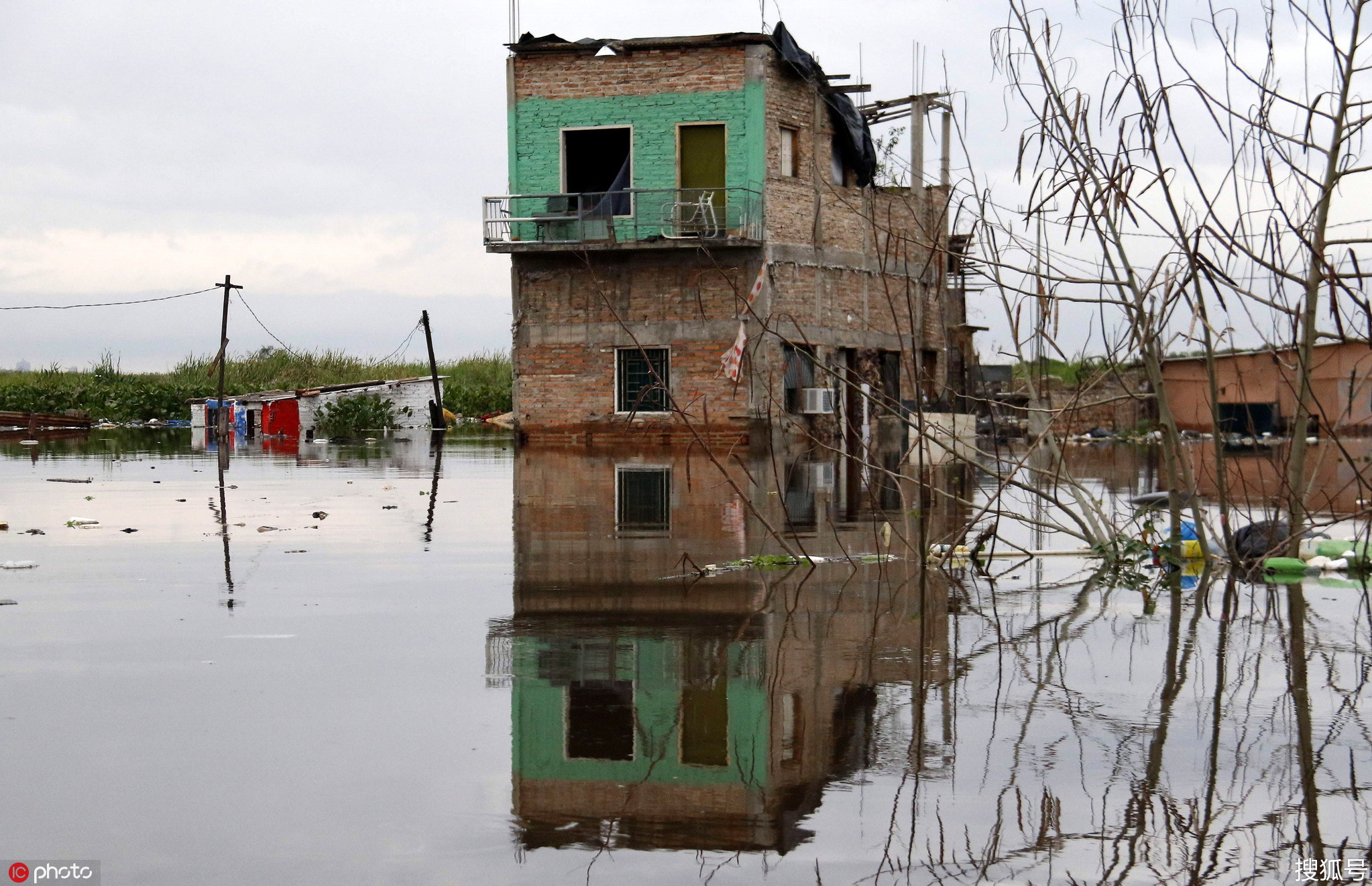 巴拉圭首都洪水泛滥 狗子躲屋顶避难