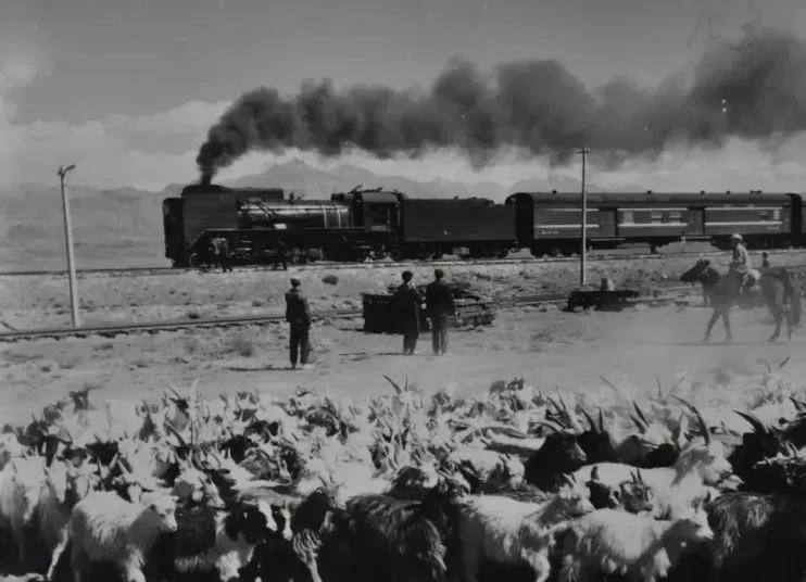 看完后我惊呆了!