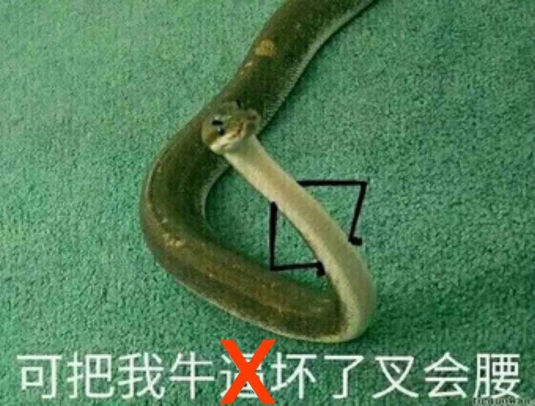 ml是个更好的hr吗
