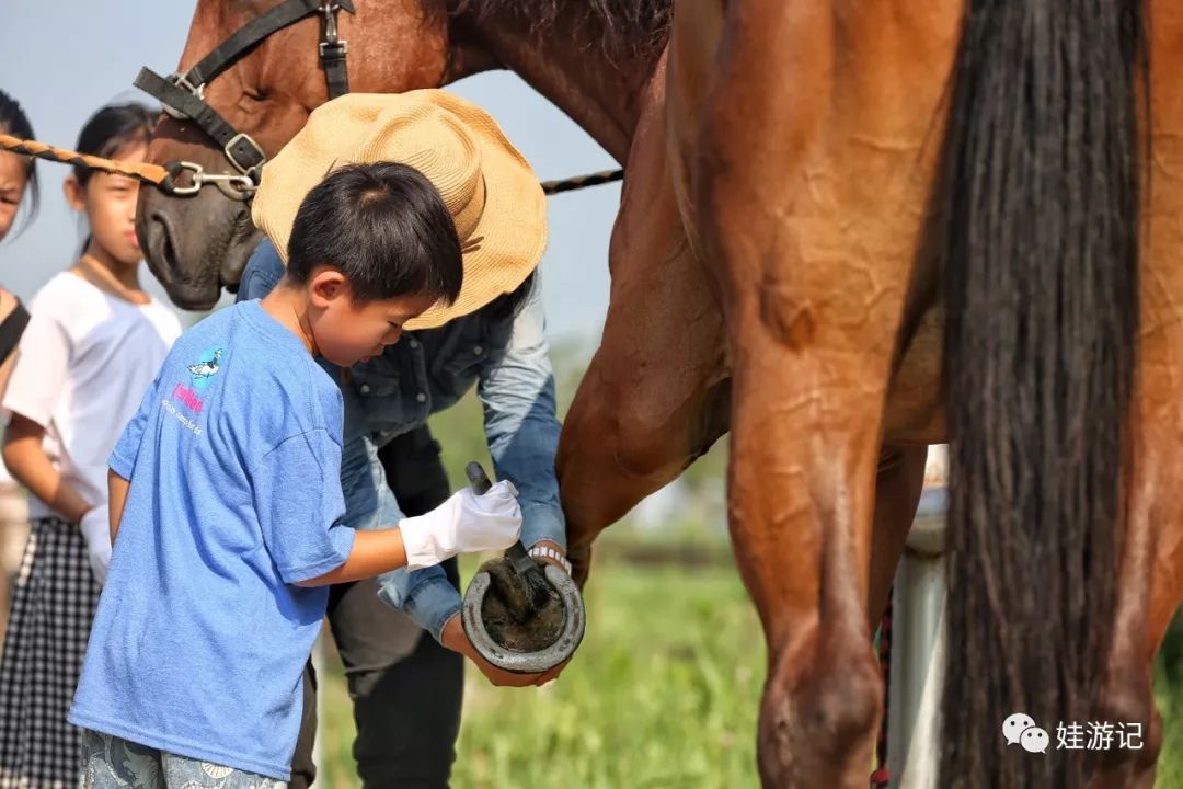 钦州行车_誉鼎起重自动化设备_10吨_门式_电动葫芦门式