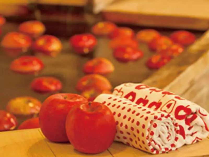 同样是种苹果 为何日本青森苹果能名扬天下 产量