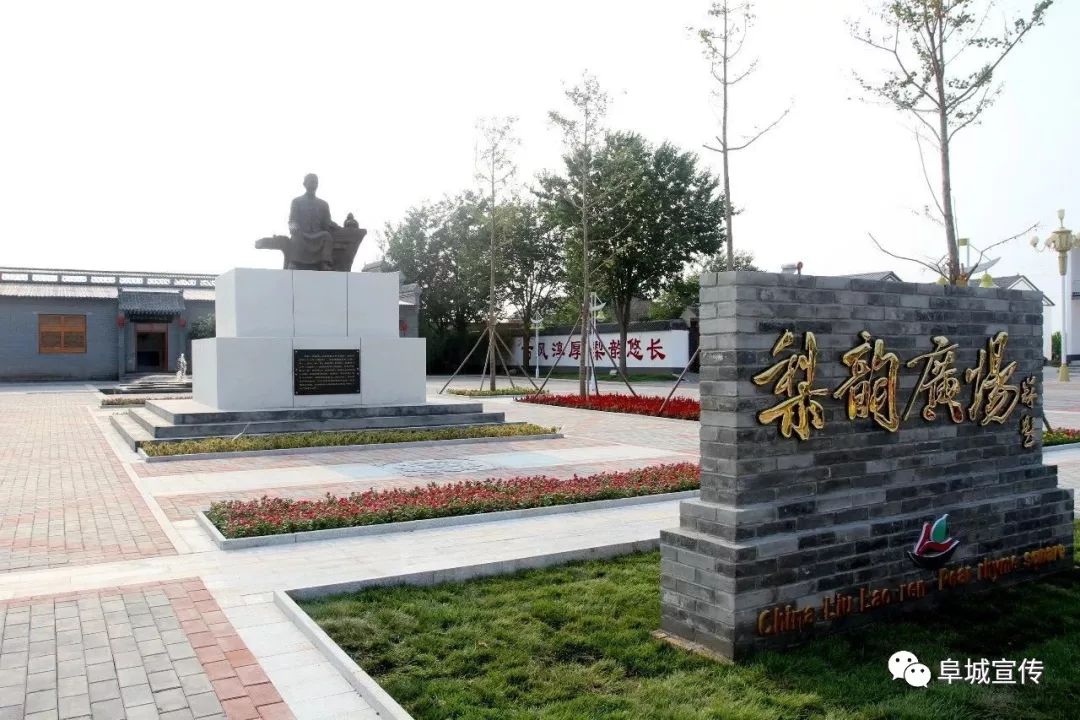 阜城县刘老人村:民主议事制议出好村风