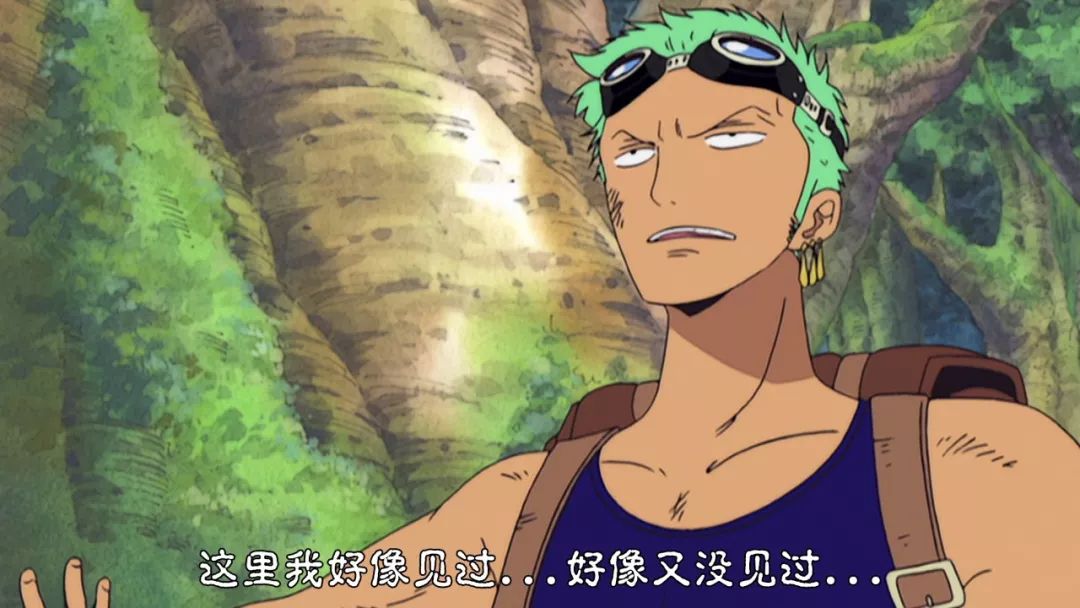 细数海贼王八大领域最强者索隆实至名归