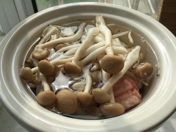 原创炖蘑菇汤,加水前多加"这1步,汤白味浓还不腥
