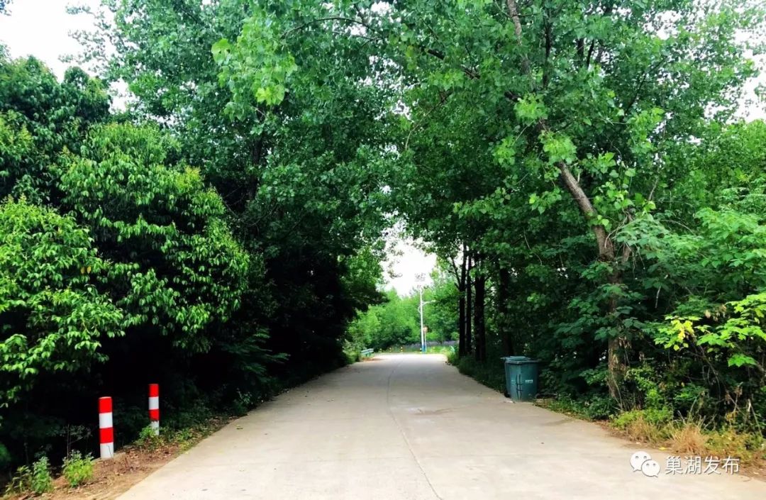 銀屏鎮呂婆村,銀屏鎮愛國村,散兵鎮佛嶺村,散兵鎮隆泉村,槐林鎮槐光村