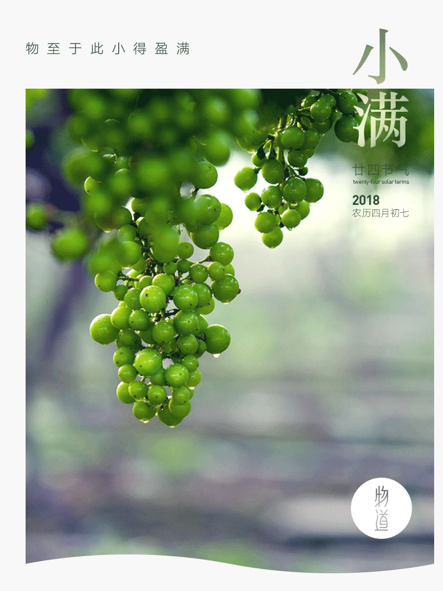 小满大欢喜不如小确幸