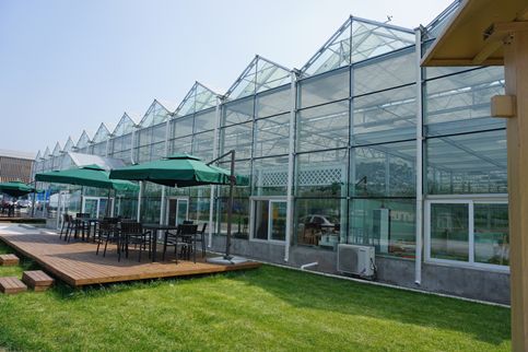 2019年大棚房清理整治毫不放松4类问题是重点千万别侥幸