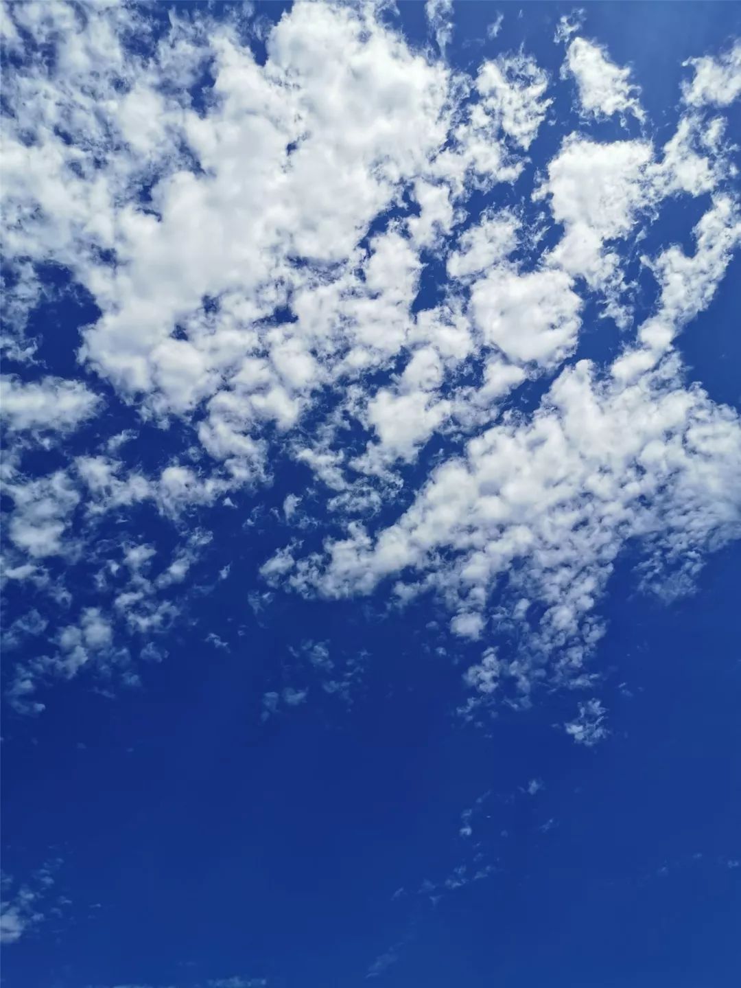 今天的雅安就是一杯酒,名字叫做"白蓝地",醉了!