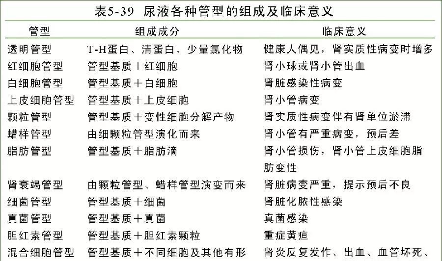 管型种类答案:ee,尿流速度增加d,有交替使用肾单位c,肾小管内环境呈