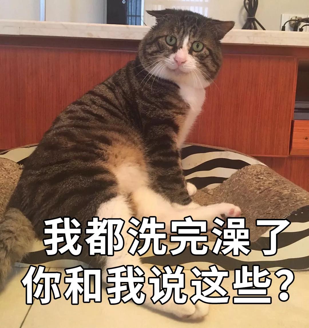 由于阿肥实在是太可爱了,碗妹忍不住为它做了好多内心os表情包,欢迎
