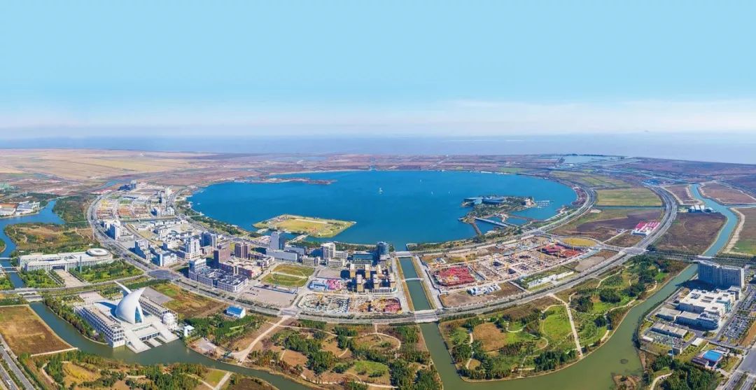 临港为何成为上海最火的新城区