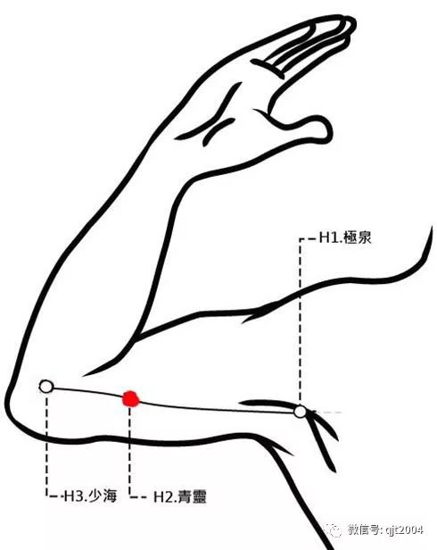 青灵的准确位置图作用图片