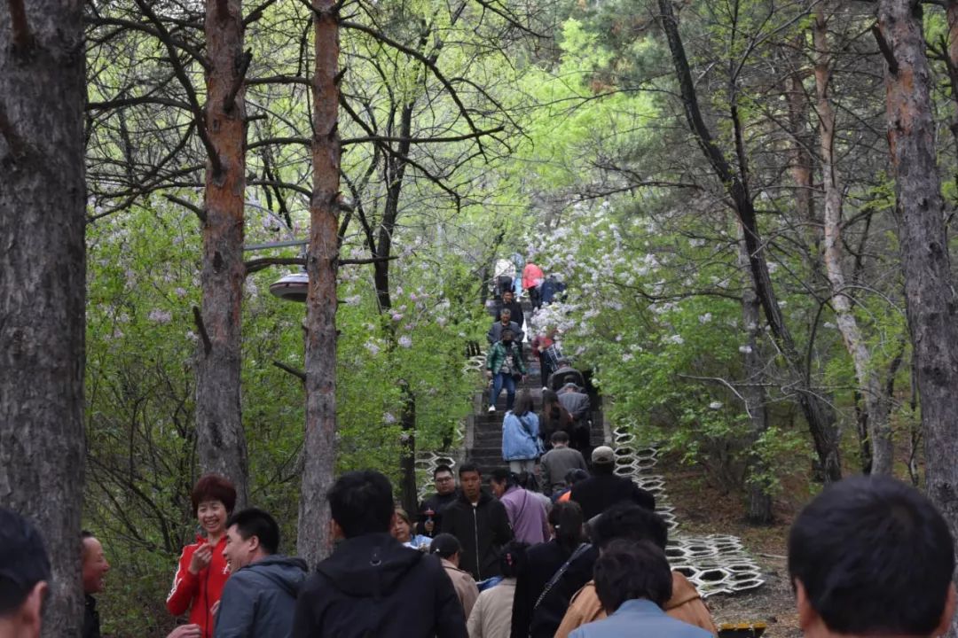 二克山公園內外擠滿了趕廟會的人,扭秧歌,跳廣場舞,踢毽子,克東人民