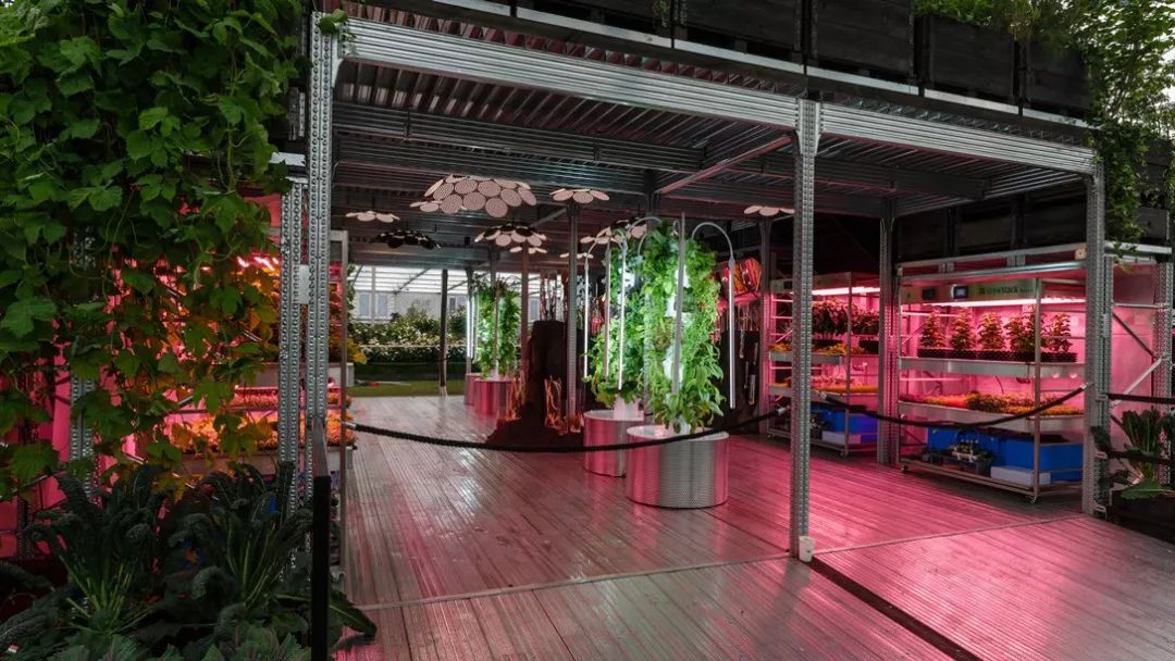 19伦敦切尔西花展来了 28个花园亮点抢先看 睿途旅创