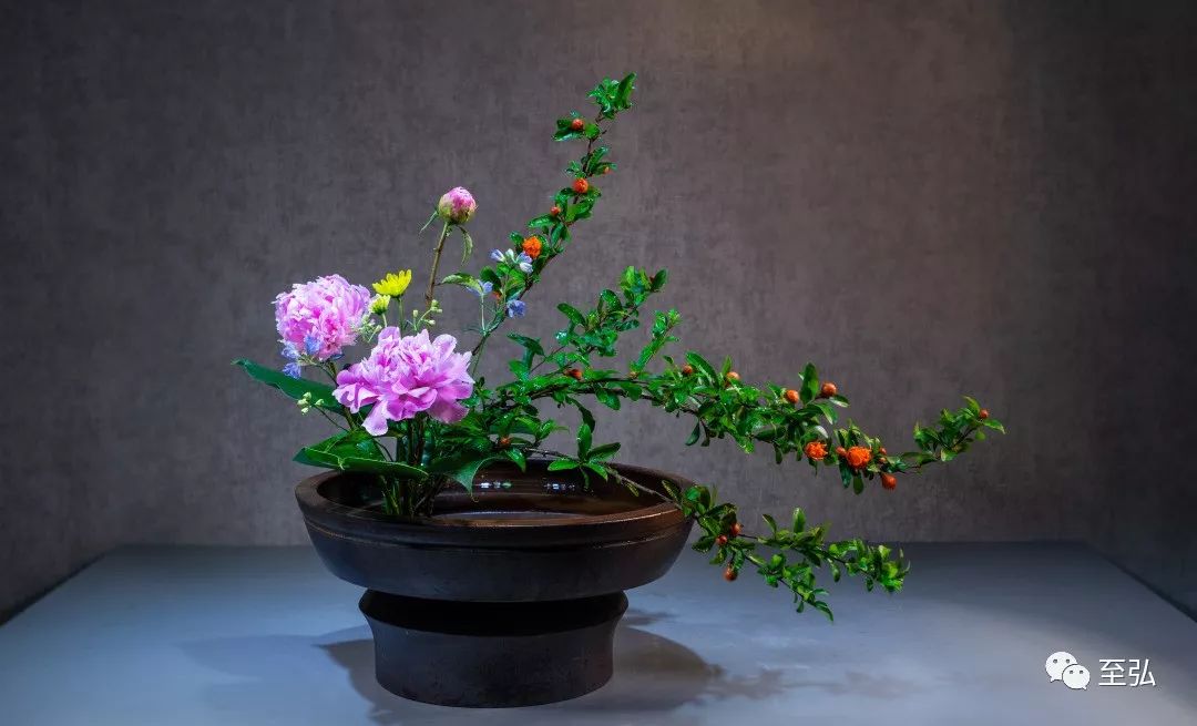 中华花艺芍药花开五月天