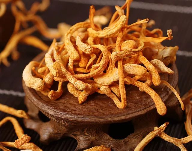 虫草花是冬虫夏草的花吗