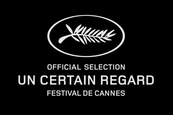 达内兄弟你们可怎么办啊戛纳短评