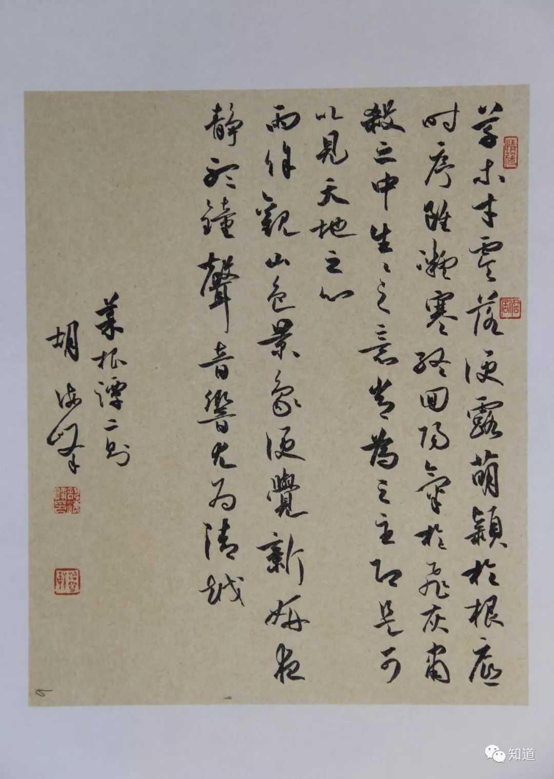 知道书画|海峰 行草书小品两幅