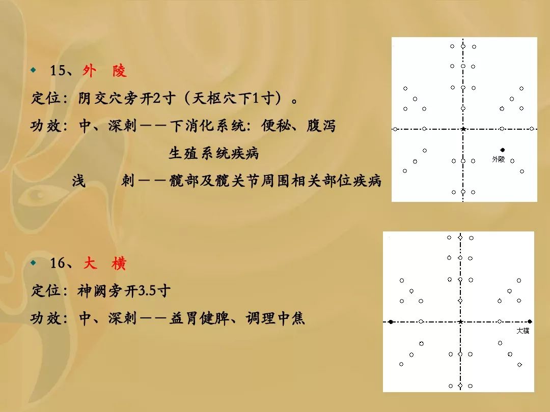 针灸神龟图图片