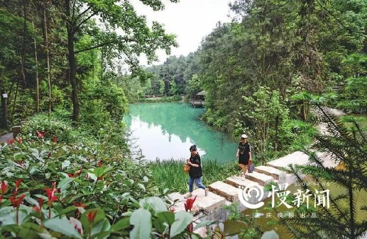 抢鲜九龙坡区12条步道亮相周末约起打个卡吧