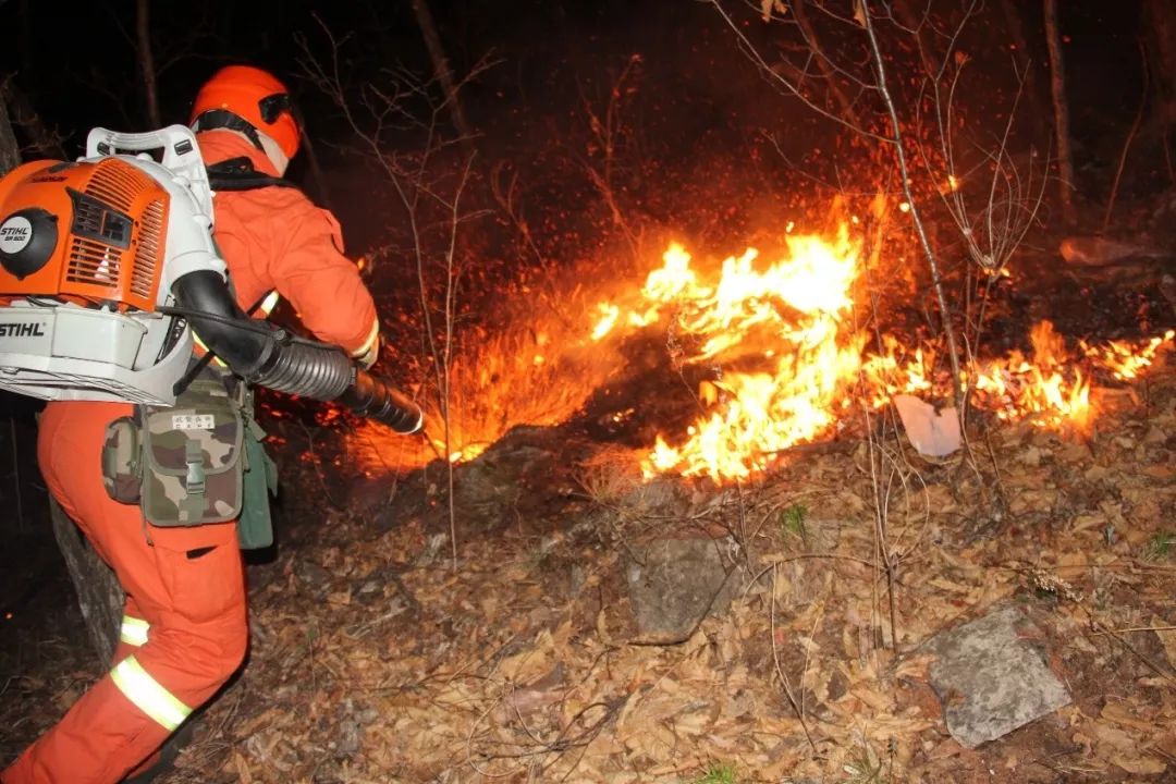 他们逆火而行只因身后就是家国河山